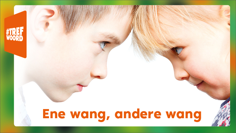 Ene wang andere wang