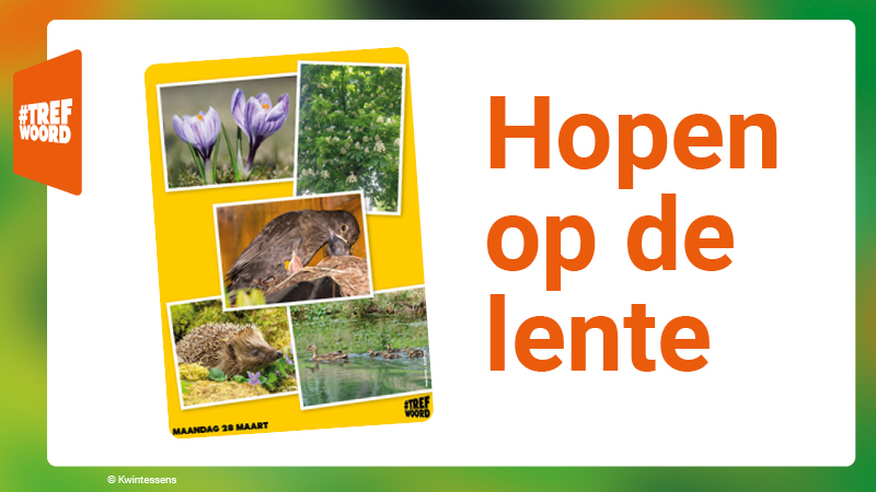 Hoop - Hopen op de lente